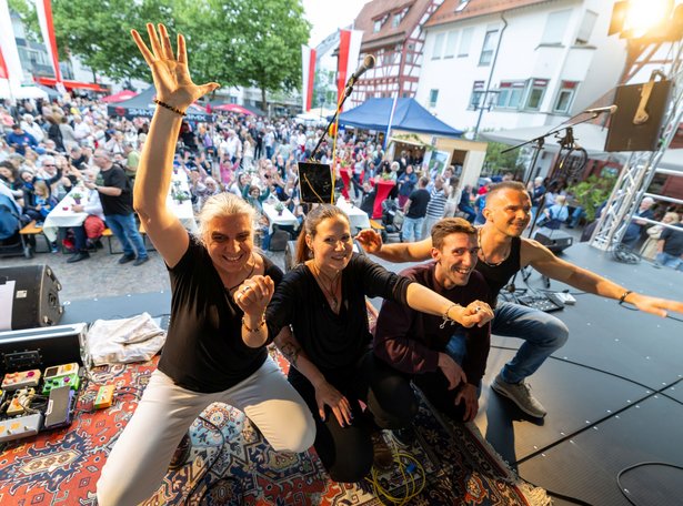 Band MEL | Happy Summer Night 2026